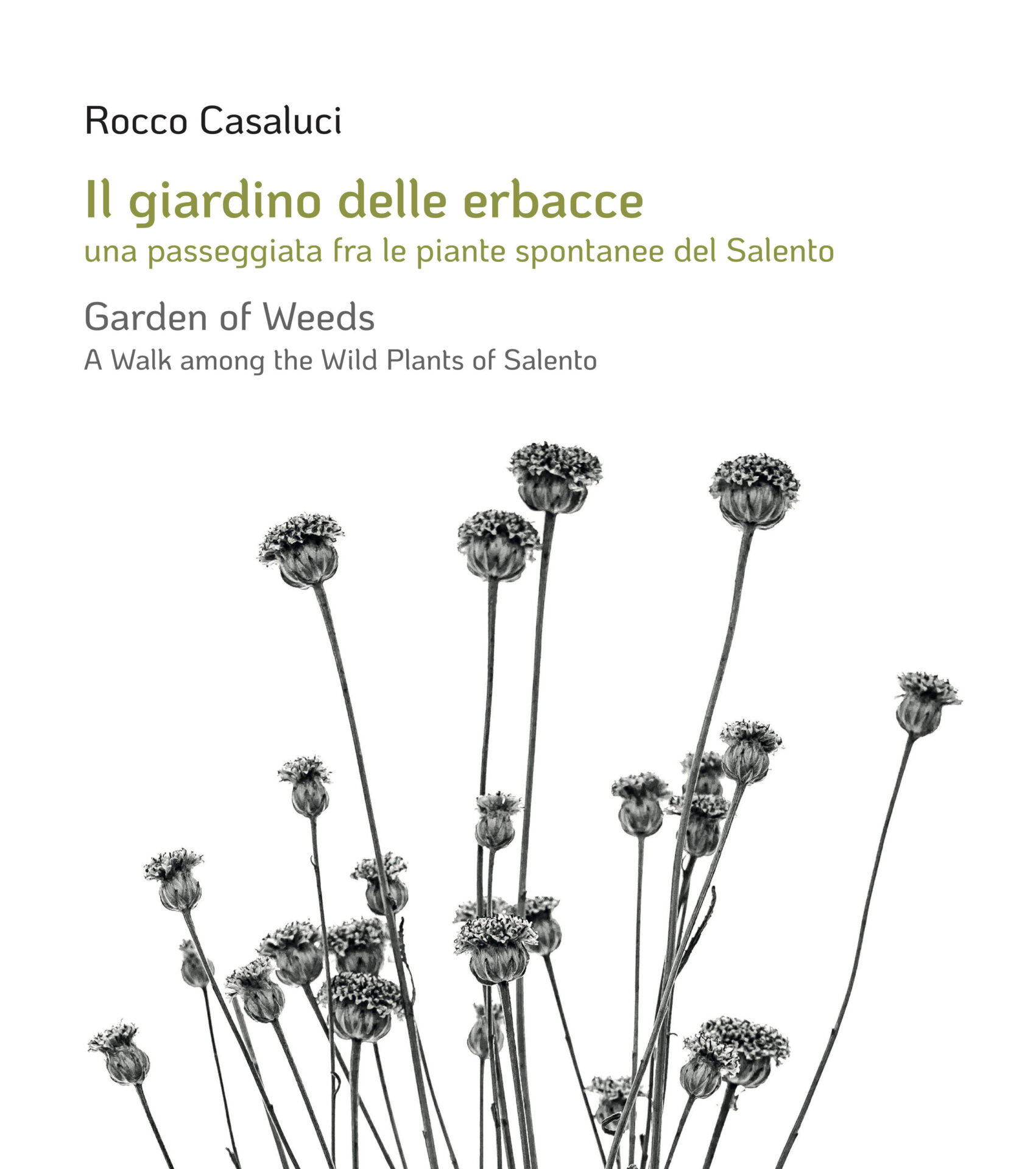“Il GIARDINO DELLE ERBACCE” di ROCCO CASALUCI