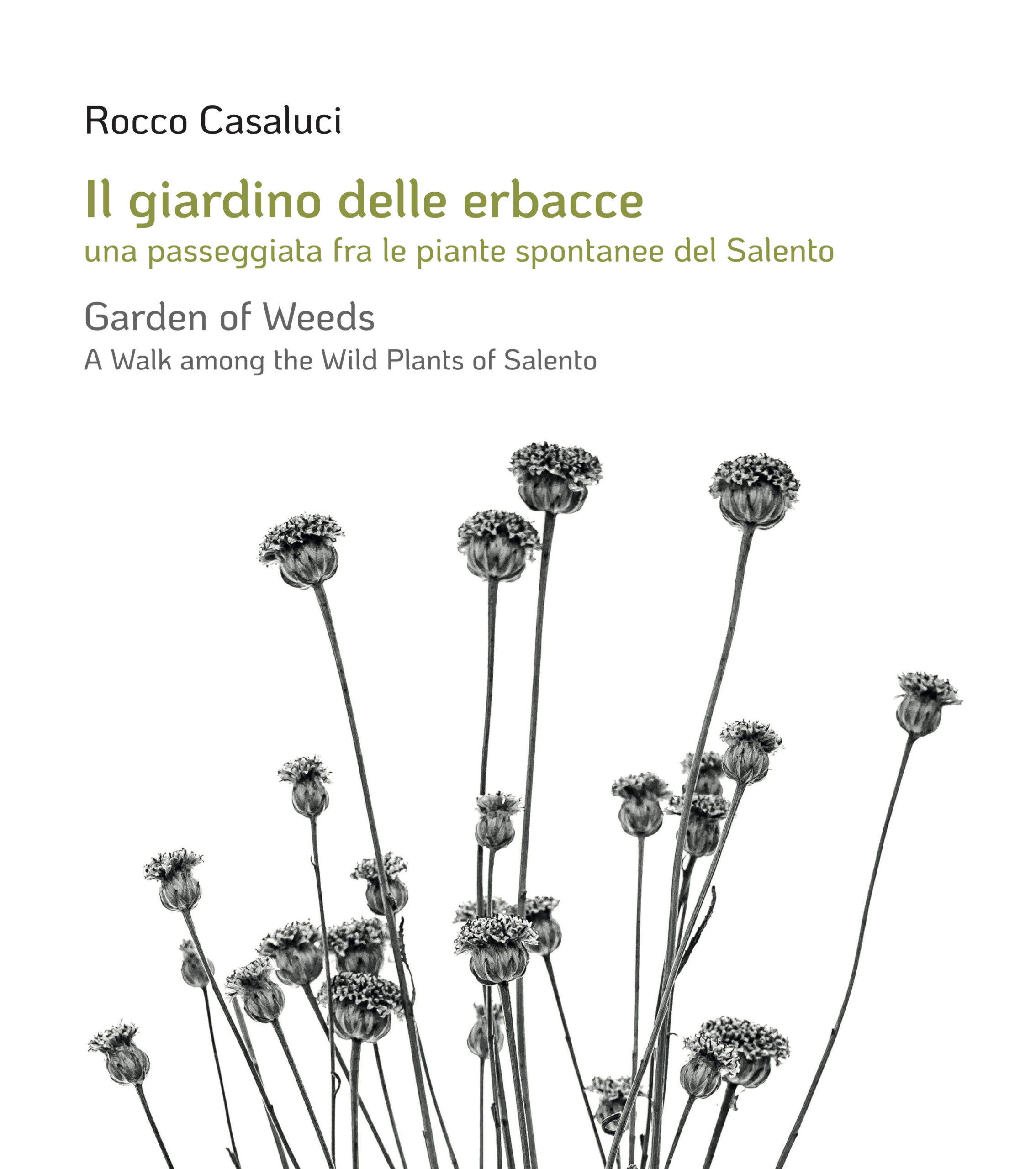 “Il GIARDINO DELLE ERBACCE” di ROCCO CASALUCI